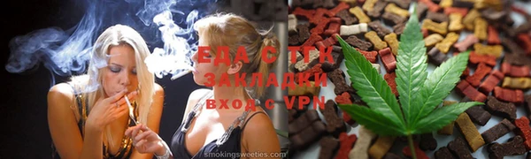 стаф Новокубанск