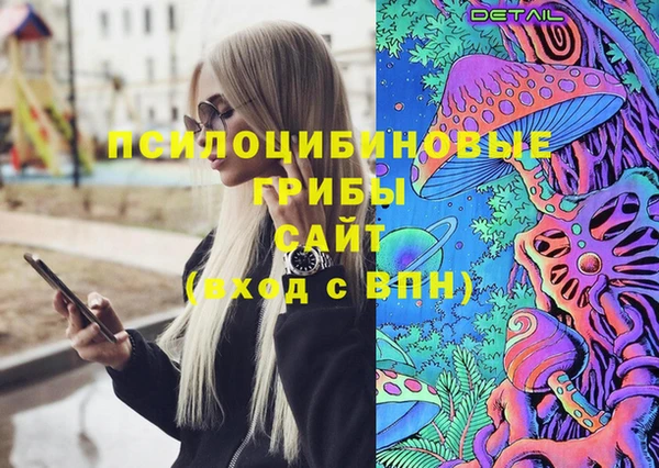 стаф Новокубанск