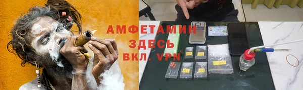 стаф Новокубанск