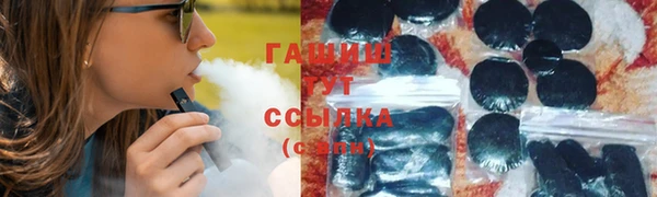 стаф Новокубанск