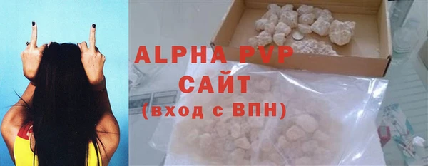 стаф Новокубанск