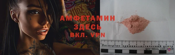 стаф Новокубанск