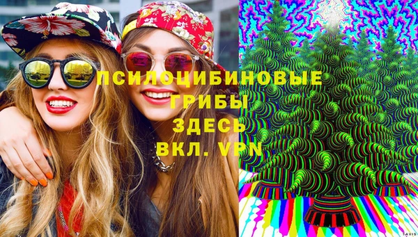 марихуана Новозыбков