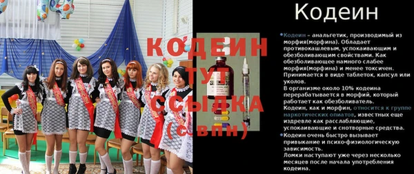 стаф Новокубанск