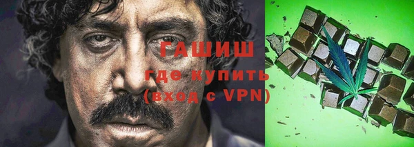 стаф Новокубанск