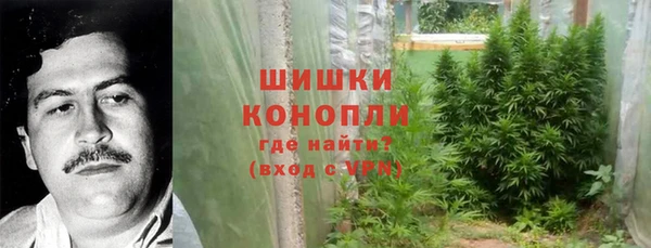 стаф Новокубанск