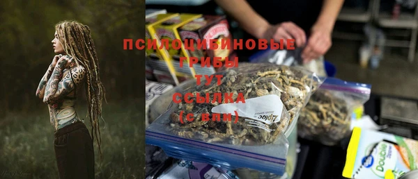 стаф Новокубанск