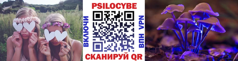 Псилоцибиновые грибы Magic Shrooms  купить закладку  Кодинск 